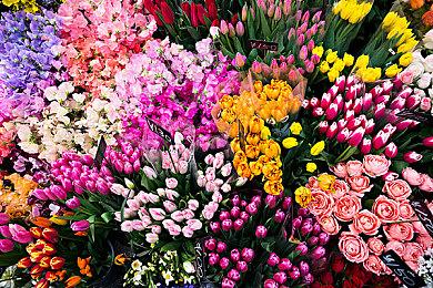 Apex英雄武器精通系统怎么玩？apex武器等级提升奖励有哪些？